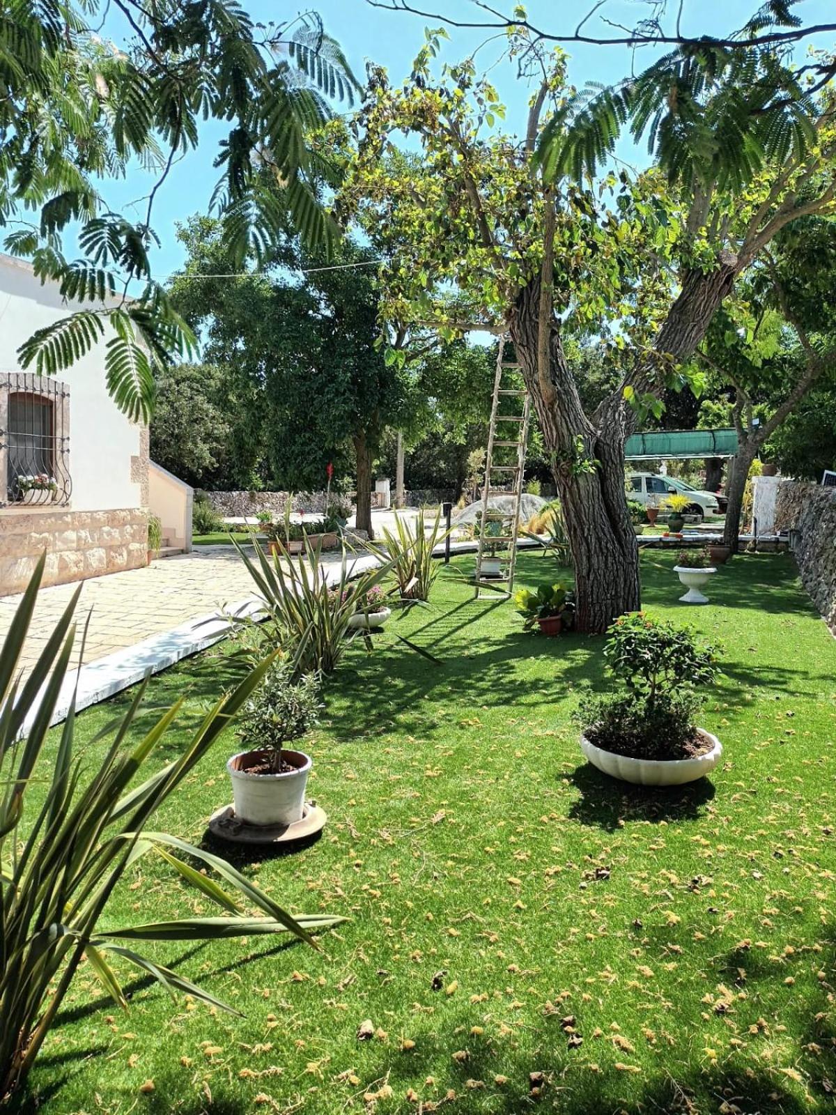 Trulli Allegretti Noci Luaran gambar