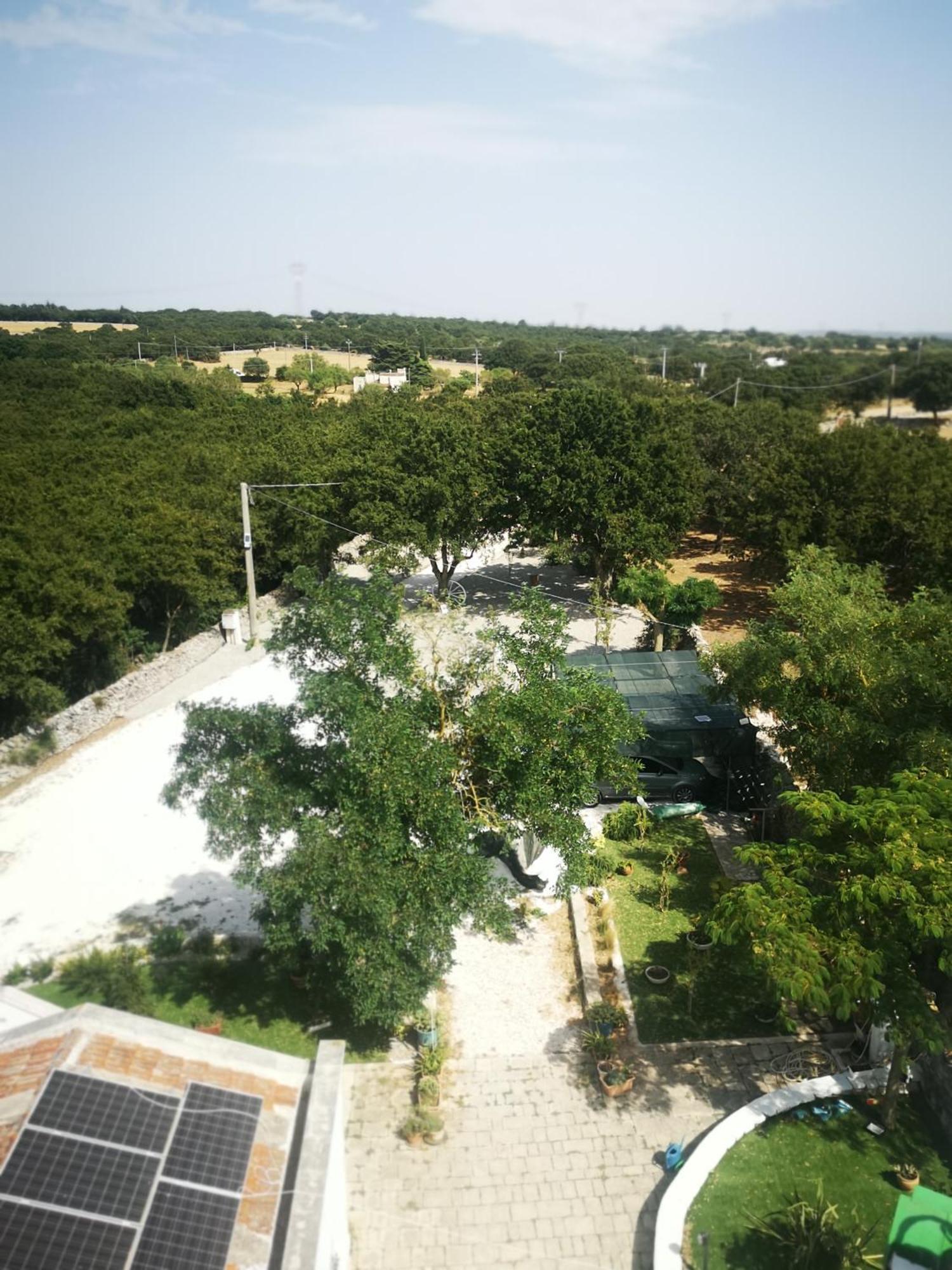 Trulli Allegretti Noci Luaran gambar